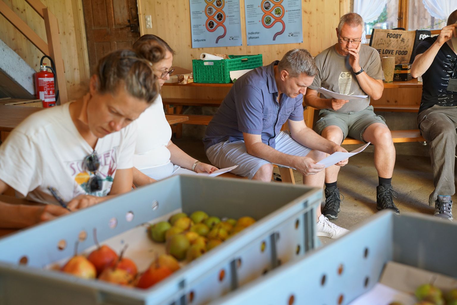 Teilnehmer lesen Unterlagen, eine Kiste Birnen im Vordergrund